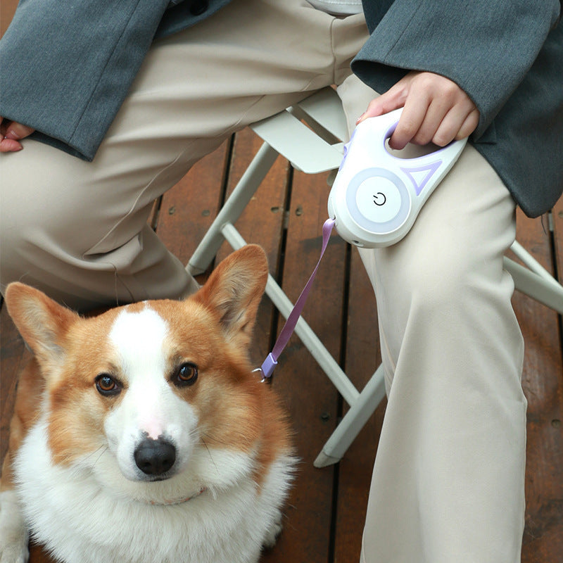 Luxury LED Retractable Leash with Flashlight – Safe & Stylish Walks for Dogs & Cats